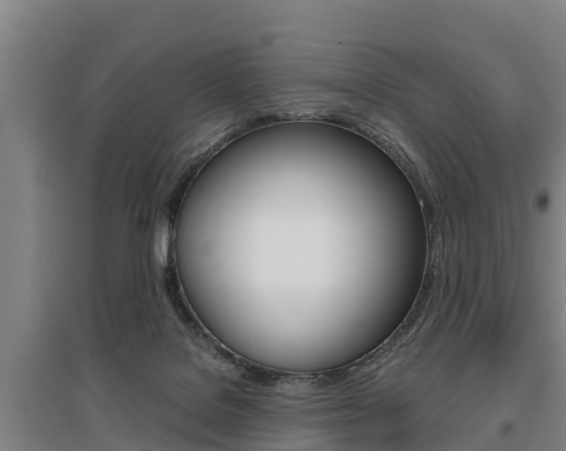 X0000095890076200801110838