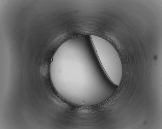 X0000095890077200801110838