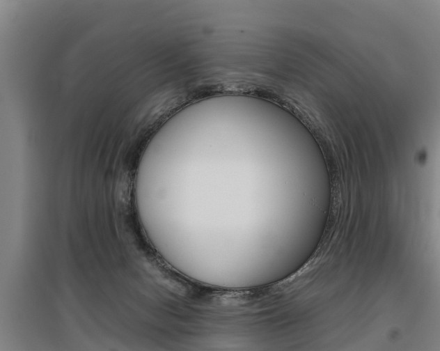 X0000095890078200801110838