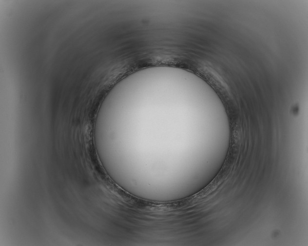 X0000095890079200801110838