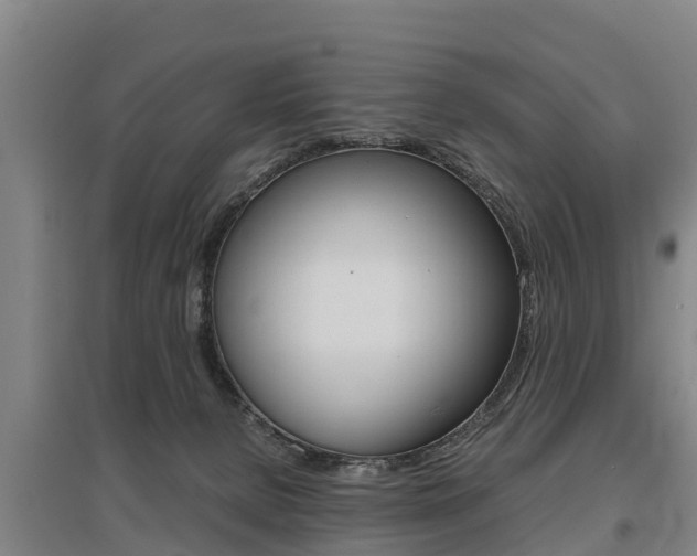 X0000095890080200801110838