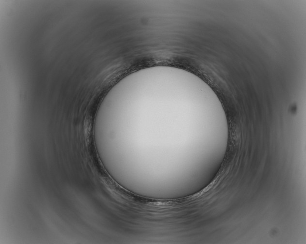 X0000095890082200801110838