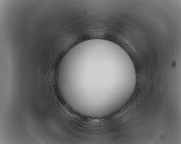 X0000095890083200801110838