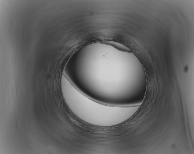 X0000095890084200801110839