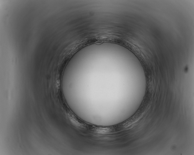 X0000095890085200801110839