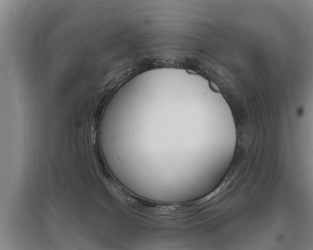 X0000095890086200801110839