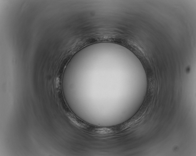 X0000095890087200801110839