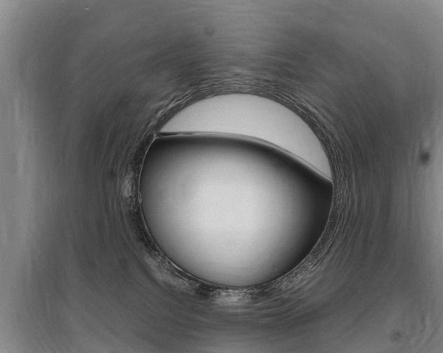 X0000095890088200801110839