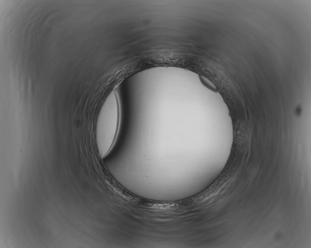 X0000095890089200801110839