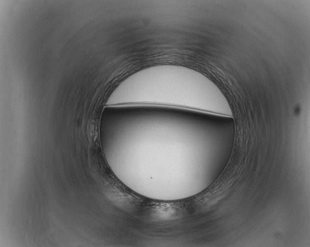X0000095890091200801110839