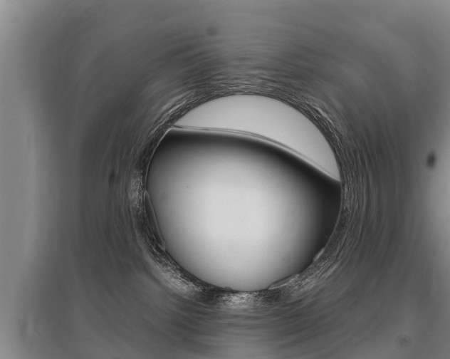 X0000095890092200801110839