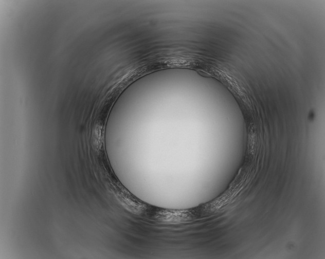 X0000095890093200801110839
