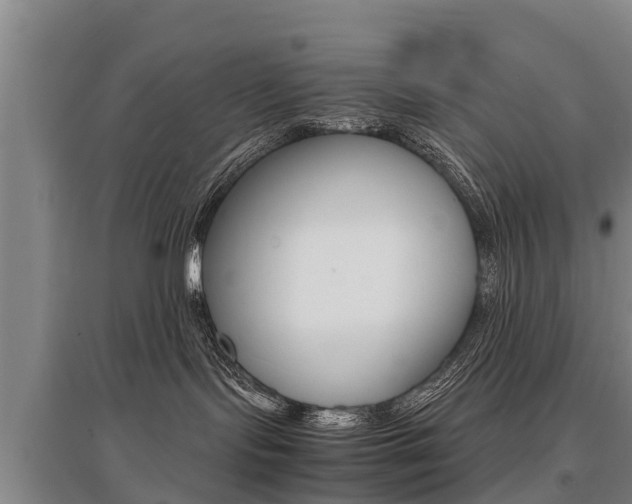 X0000095890095200801110839