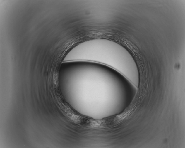 X0000095890096200801110839
