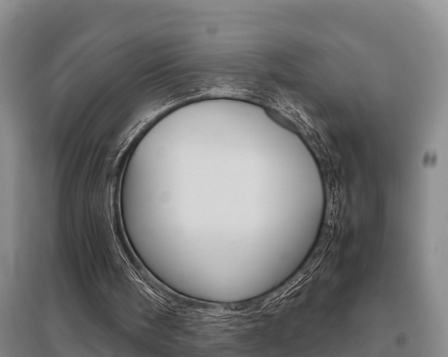 X0000095890098200801110838
