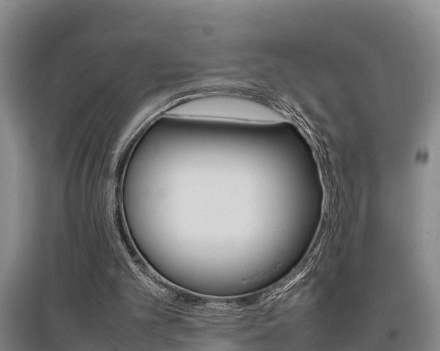 X0000095890101200801110838