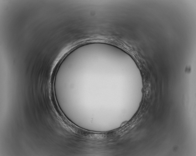 X0000095890102200801110838