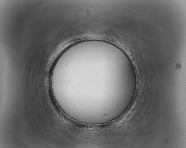 X0000095890103200801110838