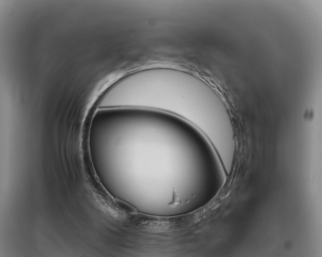 X0000095890104200801110838