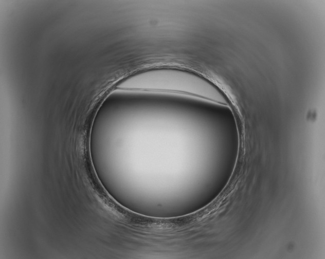 X0000095890105200801110838