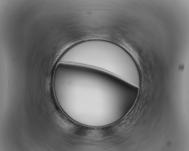 X0000095890107200801110838