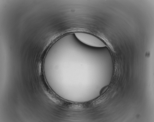 X0000095890110200801110838
