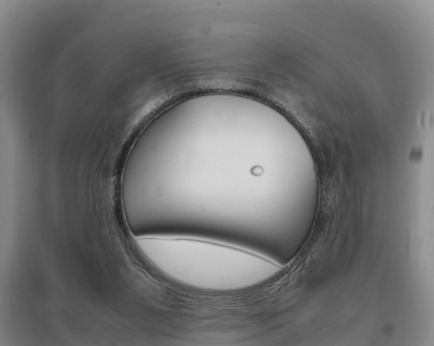 X0000095890111200801110838