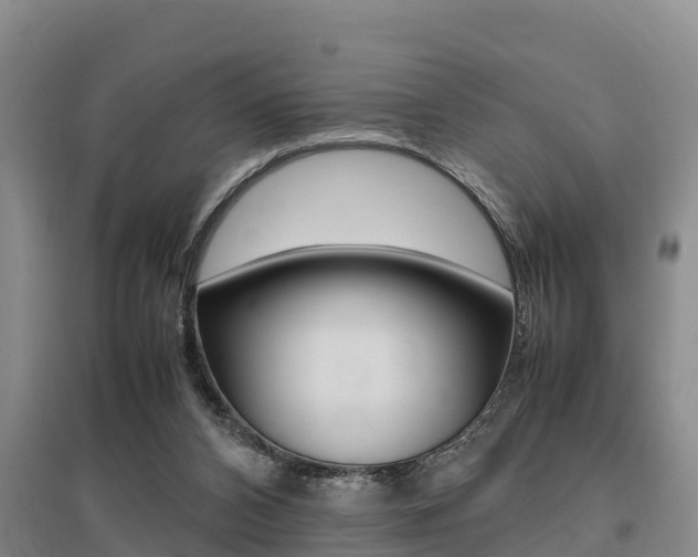 X0000095890112200801110838