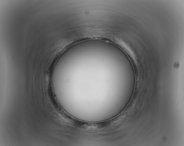 X0000095890113200801110838