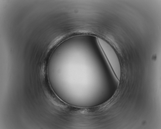 X0000095890116200801110838