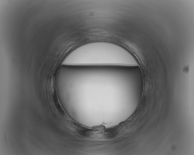 X0000095890121200801110838
