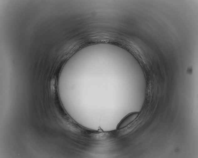 X0000095890122200801110838