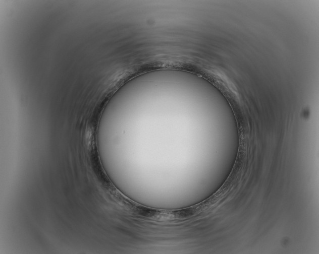 X0000095890123200801110838