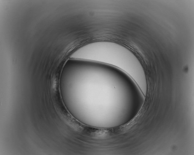 X0000095890124200801110838