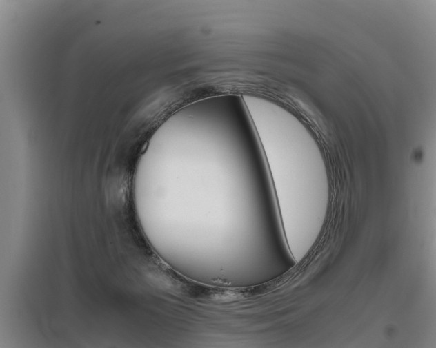 X0000095890125200801110838