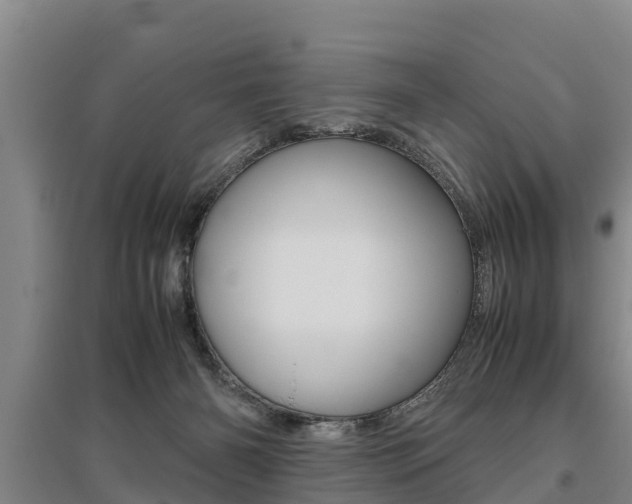 X0000095890126200801110838