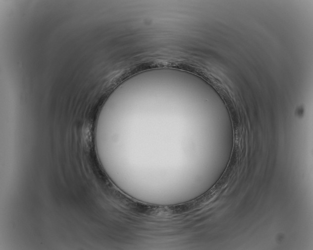 X0000095890127200801110838