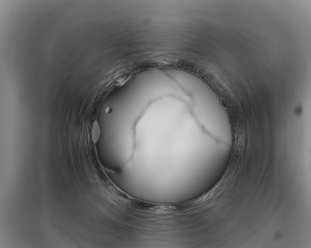 X0000095890128200801110838