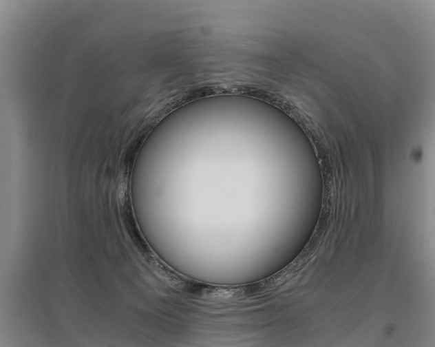 X0000095890129200801110838