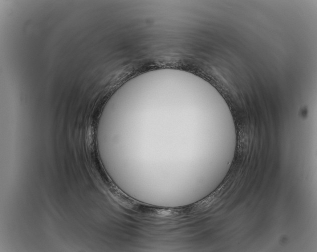 X0000095890130200801110838