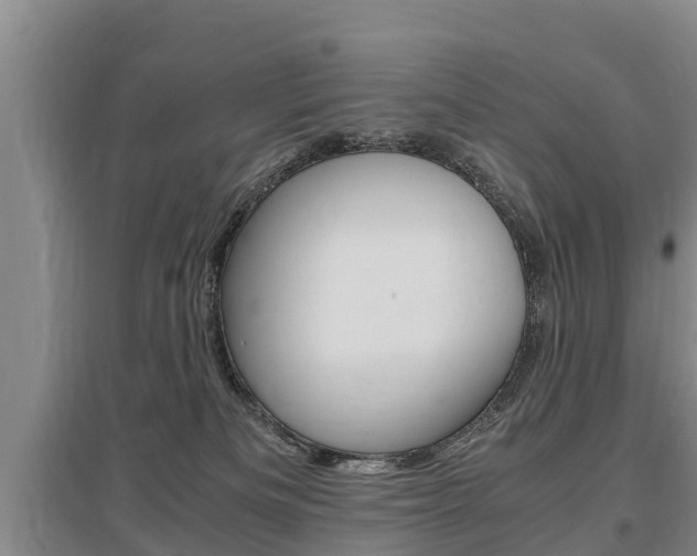 X0000095890133200801110838