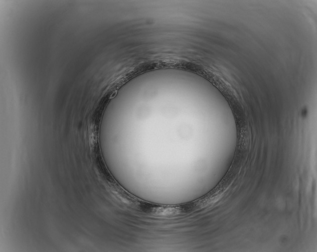 X0000095890135200801110837