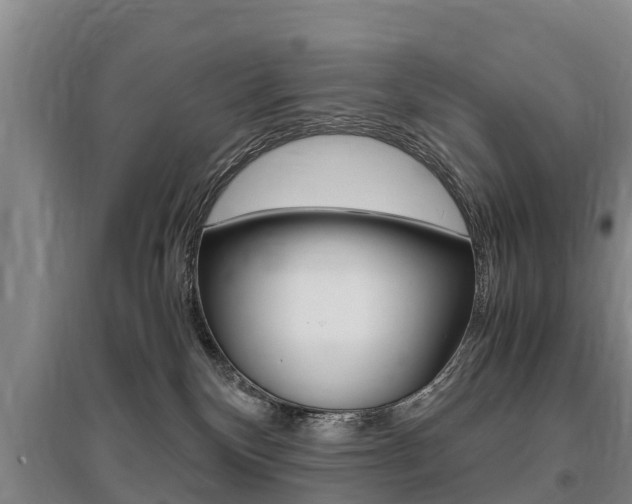 X0000095890136200801110837