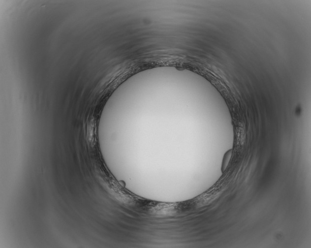 X0000095890138200801110837