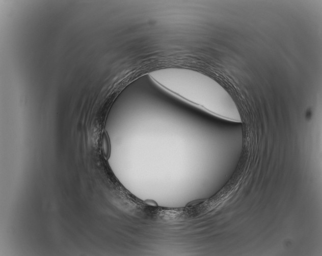 X0000095890139200801110837