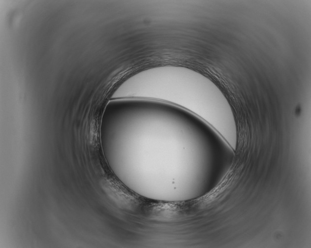 X0000095890140200801110837