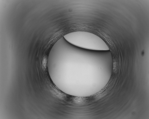 X0000095890142200801110837