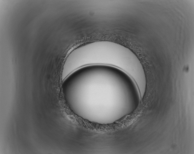 X0000095890144200801110837