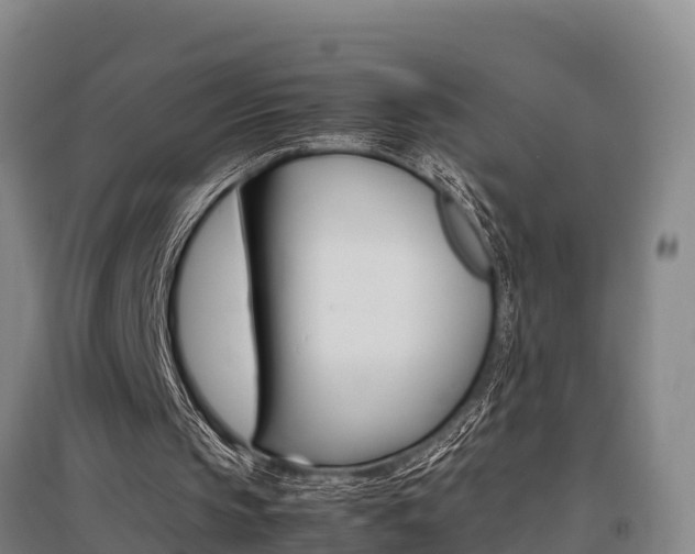 X0000095890145200801110837