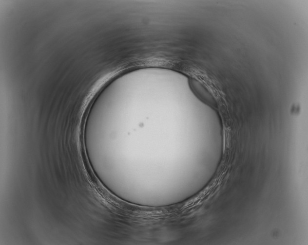 X0000095890147200801110837